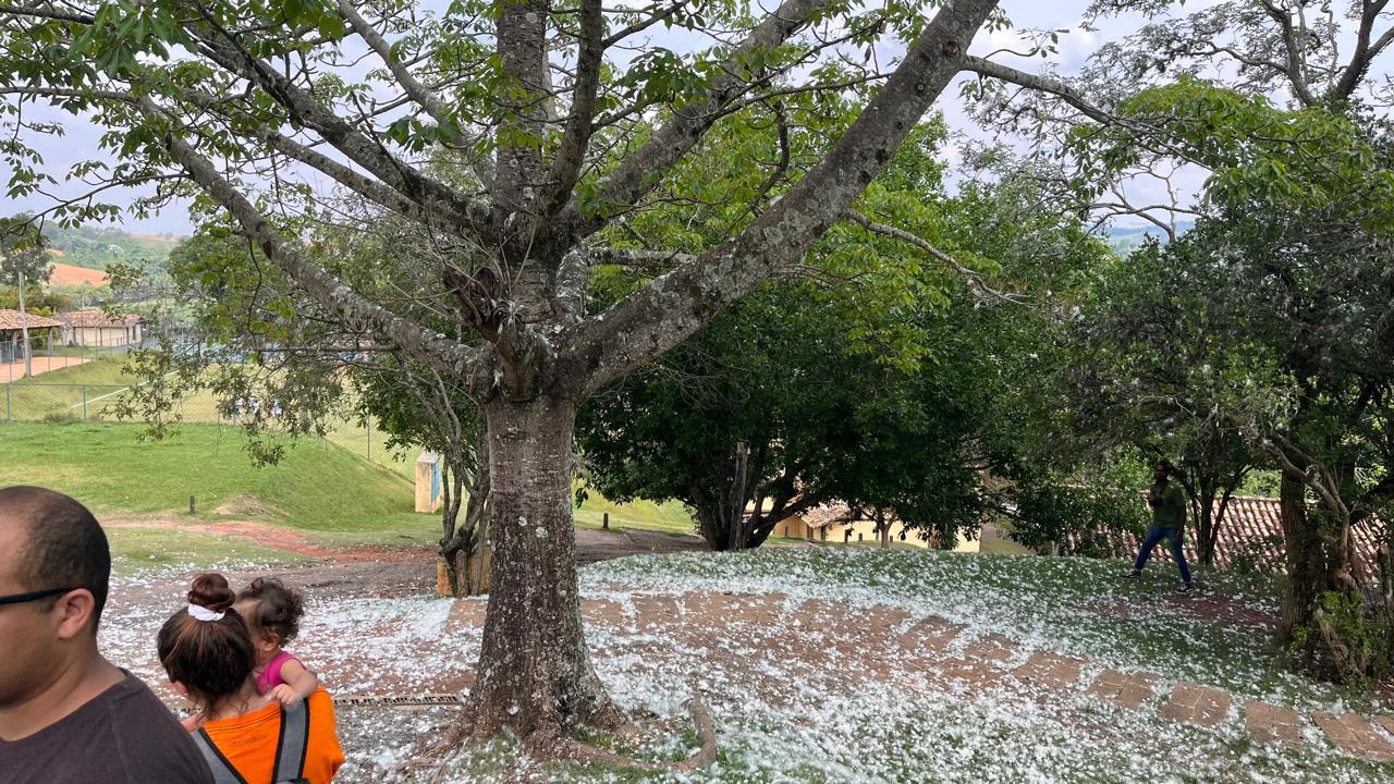 WhatsApp Image 2024-12-17 at 11.22.15